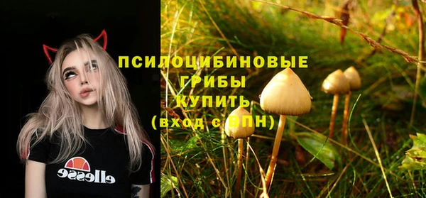 Альфа ПВП Аркадак