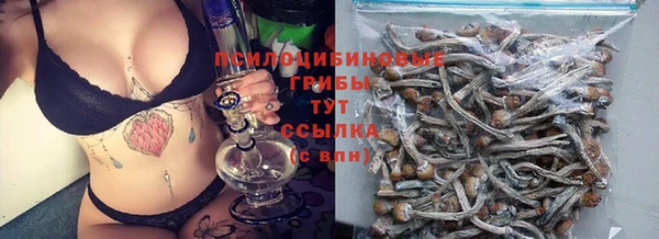 кокс Арсеньев